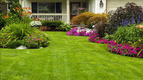 In-Depth View of The Types of Services Offered By Satori Landscape Services
