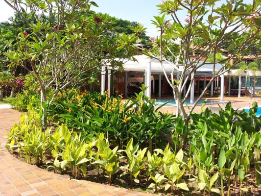 Tropical resort garden services