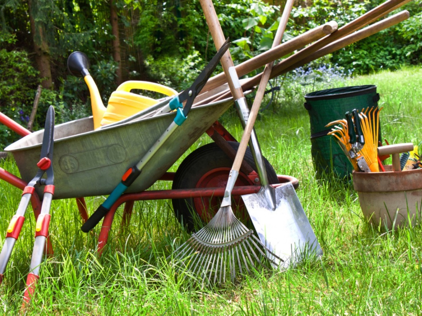 Guide to All the Necessary Tools You Need to Consider for Your Garden Design